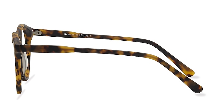 Neptune Matte Tortoise Acetate Eyeglass Frames from EyeBuyDirect
