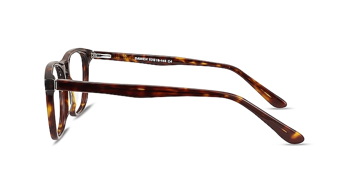 Damien Tortoise Acetate Eyeglass Frames from EyeBuyDirect