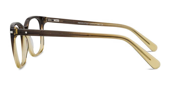 Absolutely Brown Acetate Eyeglass Frames from EyeBuyDirect