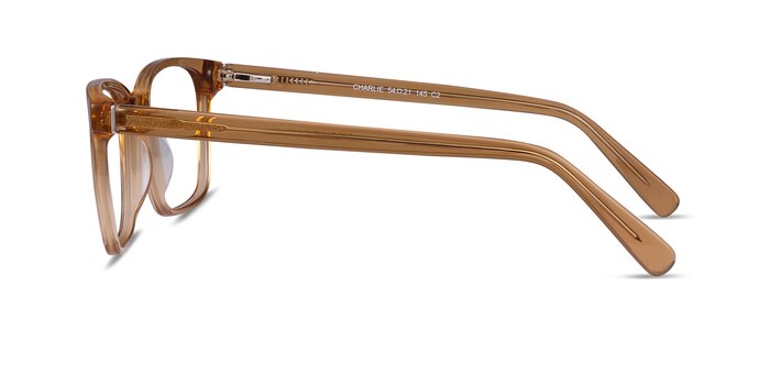 Charlie Clear Brown Acetate Eyeglass Frames from EyeBuyDirect