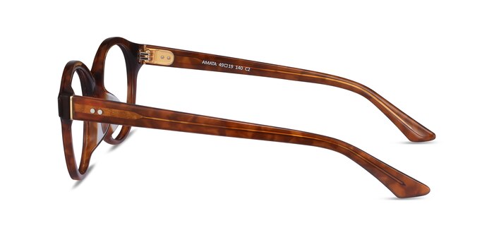 Amata Brun Acétate Montures de lunettes de vue d'EyeBuyDirect
