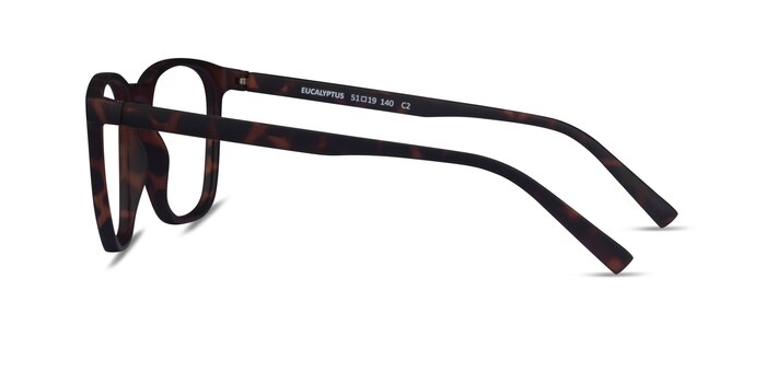Eucalyptus Warm Tortoise Éco-responsable Montures de lunettes de vue d'EyeBuyDirect
