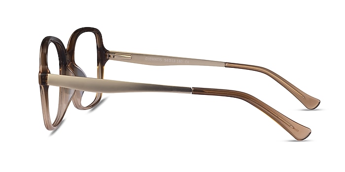 Clematis Clear Brown Acetate Eyeglass Frames from EyeBuyDirect