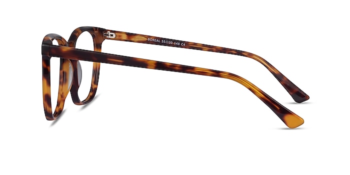Boreal Tortoise Acetate Eyeglass Frames from EyeBuyDirect