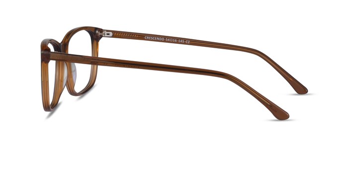 Crescendo Clear Brown Acetate Eyeglass Frames from EyeBuyDirect