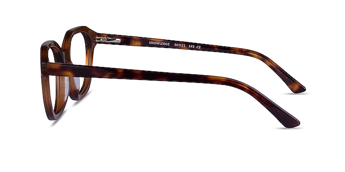 Knowledge Clear Brown Tortoise Acétate Montures de lunettes de vue d'EyeBuyDirect