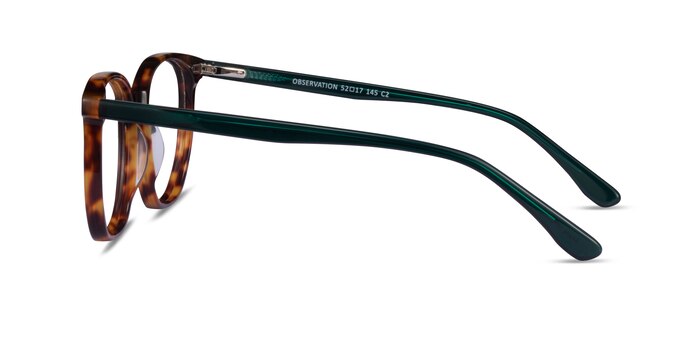 Observation Tortoise Dark Green Acétate Montures de lunettes de vue d'EyeBuyDirect