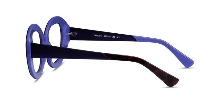 Troupe Tortoise Purple Acétate Montures de lunettes de vue d'EyeBuyDirect