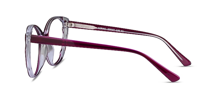 Agrias Purple Clear Acetate Eyeglass Frames from EyeBuyDirect
