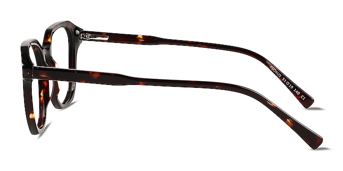 Florus Tortoise Acetate Eyeglass Frames from EyeBuyDirect