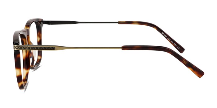 Glory Tortoise Acetate-metal Eyeglass Frames from EyeBuyDirect