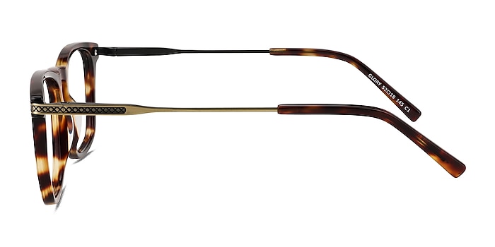 Glory Écailles Acetate-metal Montures de lunettes de vue d'EyeBuyDirect