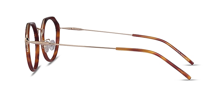 Claire Tortoise  Gold Acetate Eyeglass Frames from EyeBuyDirect