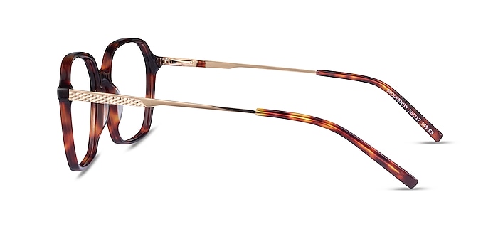 Modernity Tortoise Gold Acétate Montures de lunettes de vue d'EyeBuyDirect