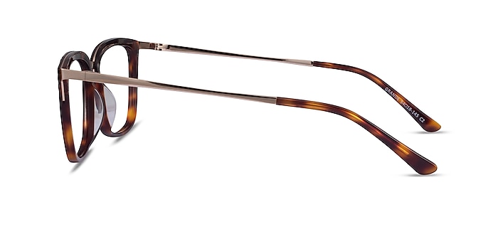 Grande Tortoise Gold Acetate Eyeglass Frames from EyeBuyDirect