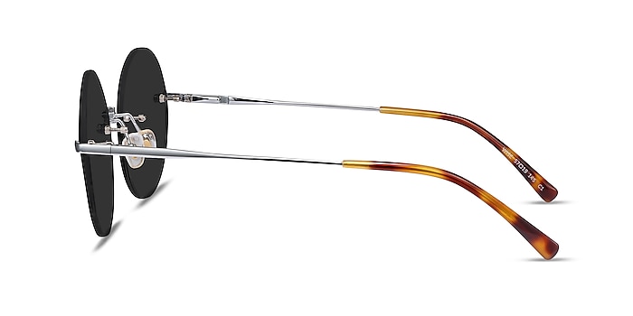 Wise Silver Metal Sunglass Frames from EyeBuyDirect