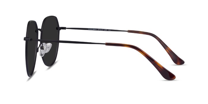 Carlsbad Black Metal Sunglass Frames from EyeBuyDirect