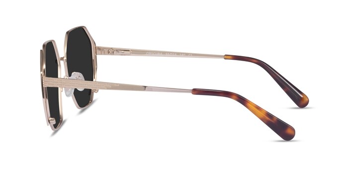 Obscura Gold Metal Sunglass Frames from EyeBuyDirect