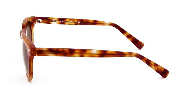 Newport Brown Acetate Sunglass Frames from EyeBuyDirect
