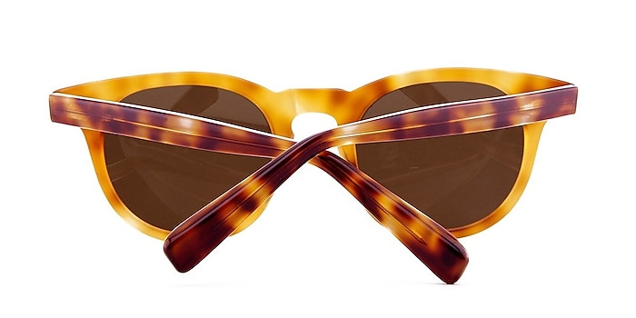 Brown Newport -  Acetate Sunglasses
