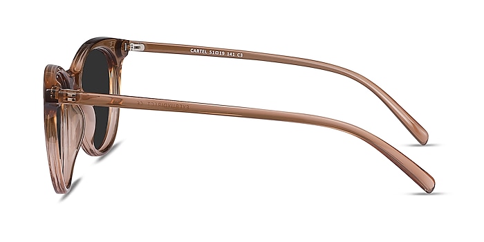 Cartel Clear Brown Plastic Sunglass Frames from EyeBuyDirect