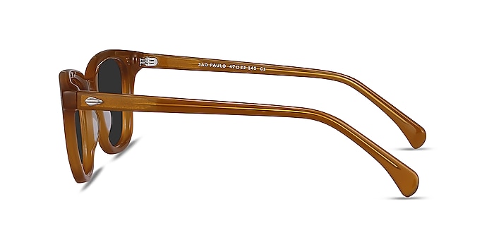Sao Paulo Brown Acetate Sunglass Frames from EyeBuyDirect