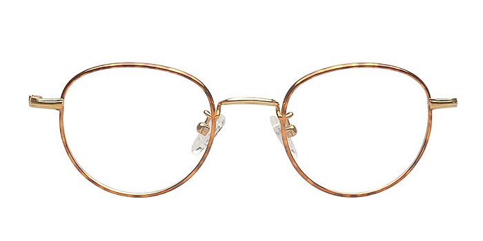 Naro Golden Titanium Eyeglass Frames from EyeBuyDirect