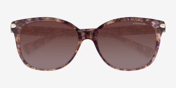 Brown Tortoise Coach HC8132 L109 -  Acétate Lunettes de soleil