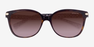 Écaille Noire Coach HC8132 L109 -  Acétate Lunettes de soleil