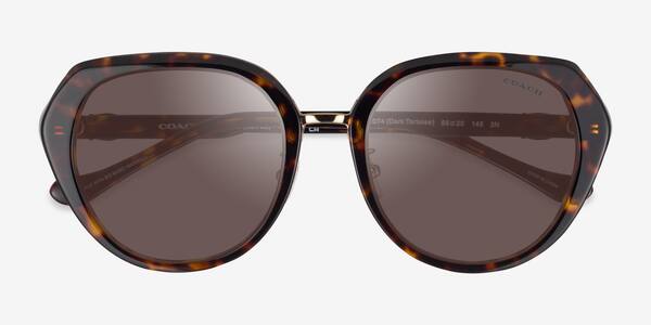 Dark Tortoise Coach HC8436 CBY93 -  Acetate Sunglasses