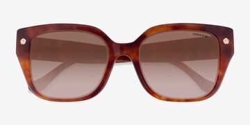 Caramel Tortoise Coach HC8392U CR611 -  Acetate Sunglasses
