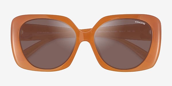 Milky Amber Coach HC8422U CAD33 - Plastic Sunglasses Milky Amber Coach HC8422U CAD33 - Plastic Sunglasses