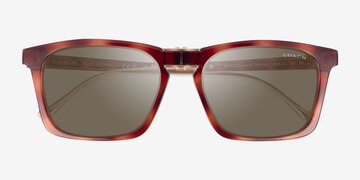 Caramel Tortoise Coach HC8455 Cdp54 -  Plastic Sunglasses