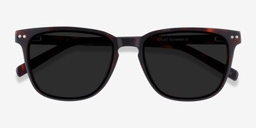 Tortoise City -  Acetate Sunglasses