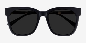 Black Erica -  Acetate, Metal Sunglasses