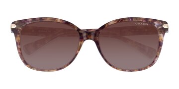 Brown Tortoise Coach HC8132 L109 -  Acetate Sunglasses