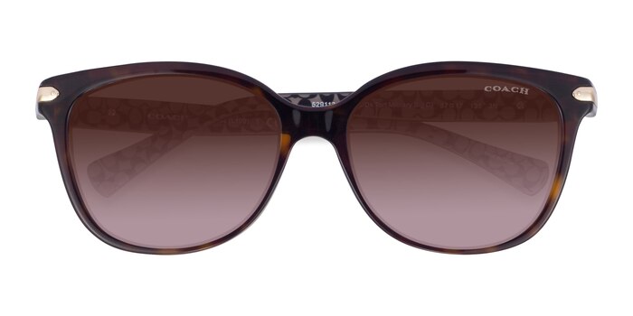 Dark Tortoise Coach HC8132 L109 -  Acetate Sunglasses