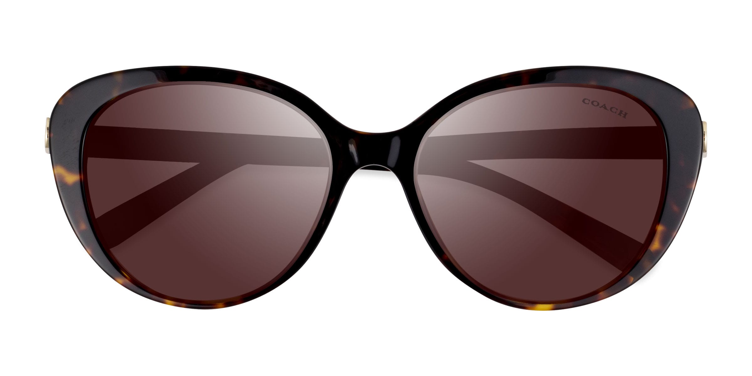 Coach Sunglasses for Men & Women | Eyebuydirect