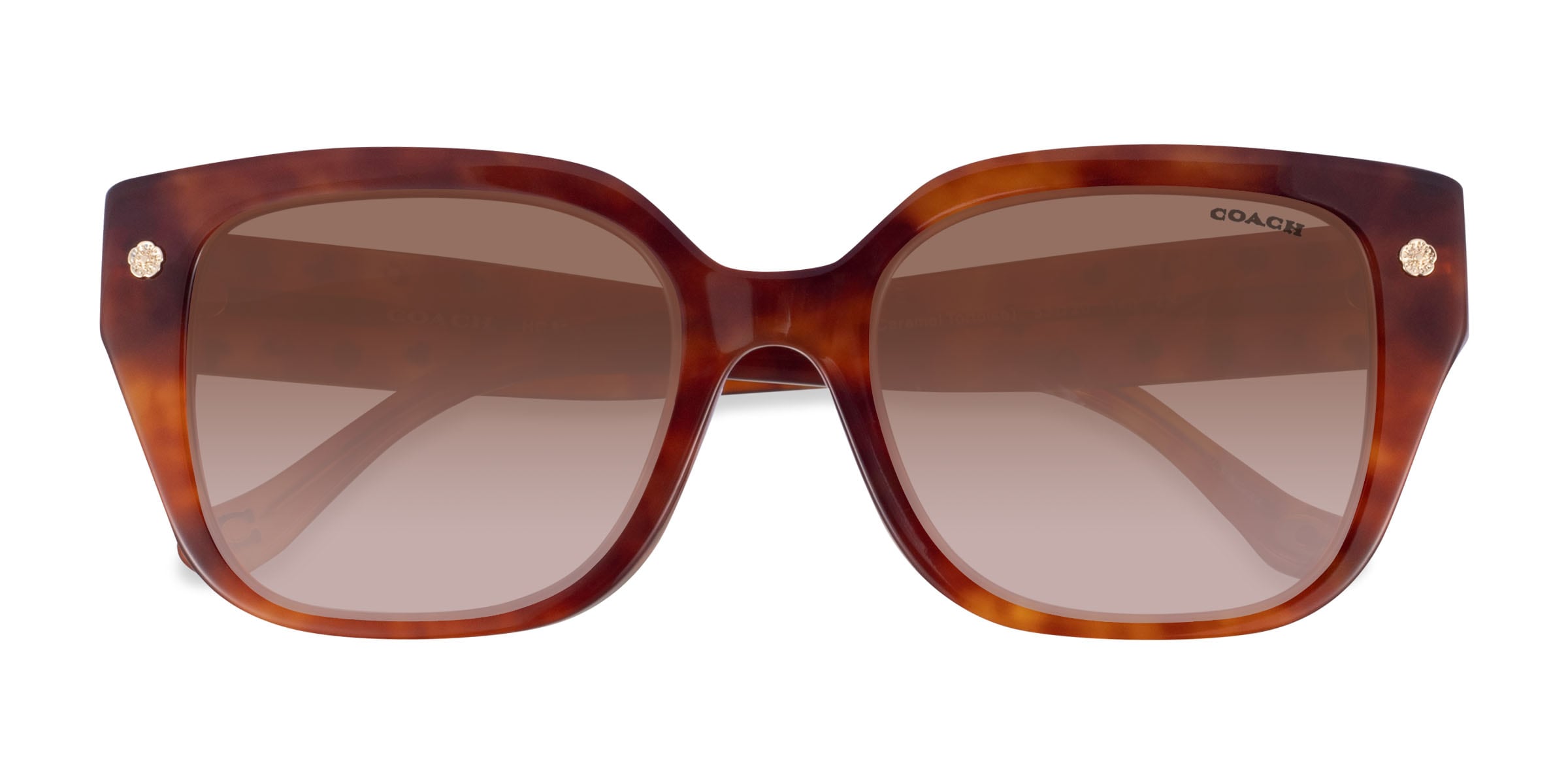 Coach Caramel Tortoise Round Sunglasses with Brown Lenses HC8361U CH558 Sunglasses - Coach Authorized Retailer  main image 2