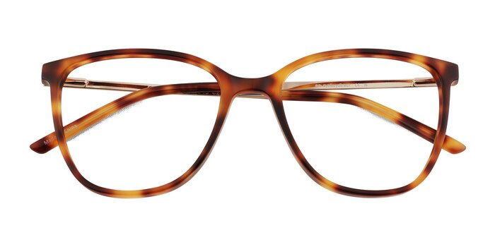 Brown Tortoise Study -  Acetate Eyeglasses