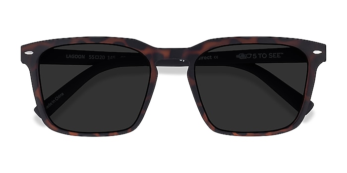 Warm Tortoise & Basalt Lagoon -  Plastic Sunglasses