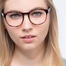 Heartbeat Brown PlasticEyeglass Frames for Women from EyeBuyDirect