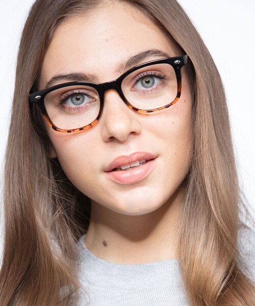 Drama Black Brown PlasticEyeglass Frames for Women from EyeBuyDirect