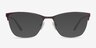 Lille Brown MetalEyeglass Frames from EyeBuyDirect, with Tinted Lenses