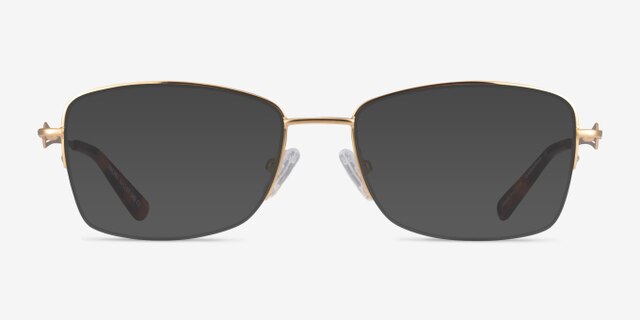 Rachel Gold MetalEyeglass Frames from EyeBuyDirect, with Tinted Lenses