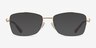Rachel Gold MetalEyeglass Frames from EyeBuyDirect, with Tinted Lenses