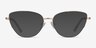 Star Gold MetalEyeglass Frames from EyeBuyDirect, with Tinted Lenses