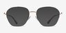 Lifetime Light Gold MetalEyeglass Frames from EyeBuyDirect, with Tinted Lenses