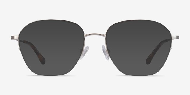 Lifetime Silver MetalEyeglass Frames from EyeBuyDirect, with Tinted Lenses