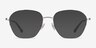 Lifetime Silver MetalEyeglass Frames from EyeBuyDirect, with Tinted Lenses